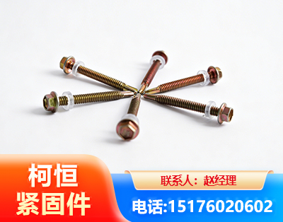 七台河六角钻尾丝